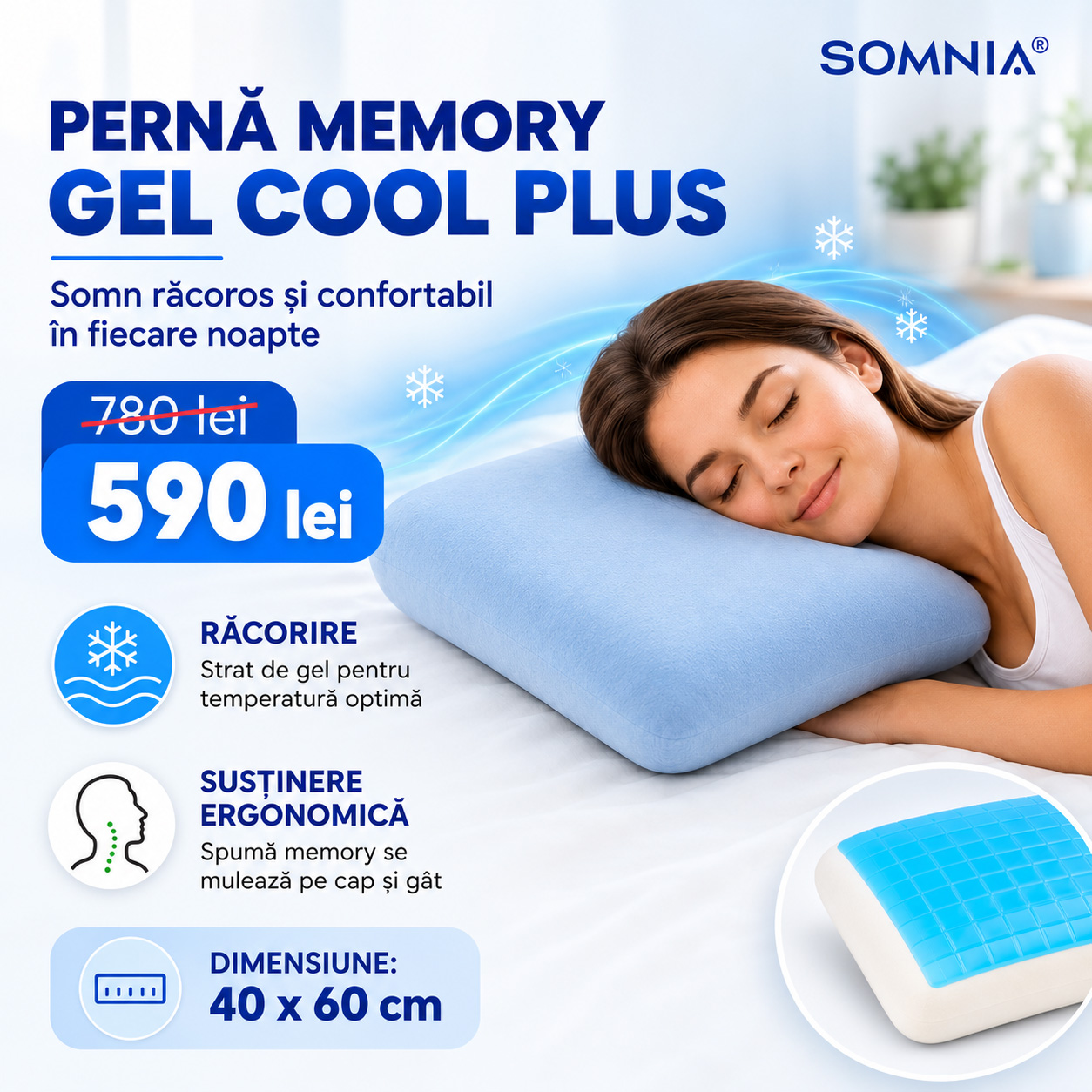Spa ProBrush